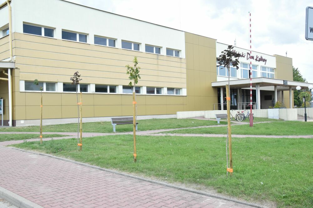 Nowe nasadzenia zieleni w Opocznie