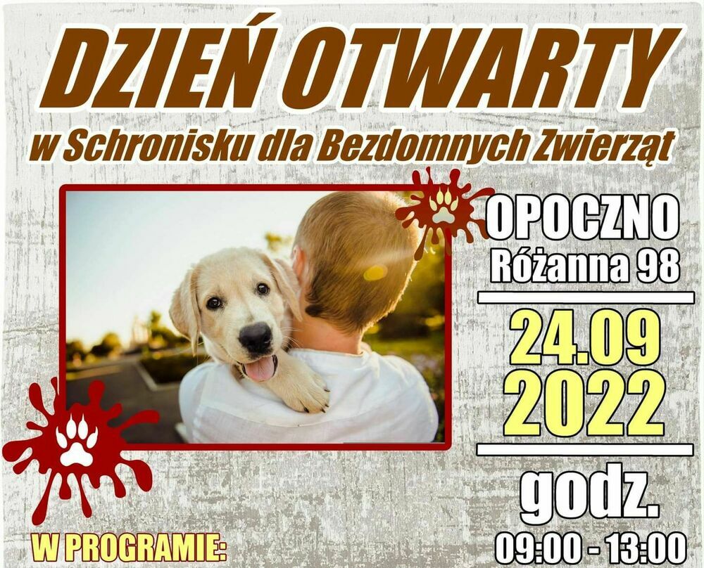 Dzień Otwarty w Schronisku dla Bezdomnych Zwierząt