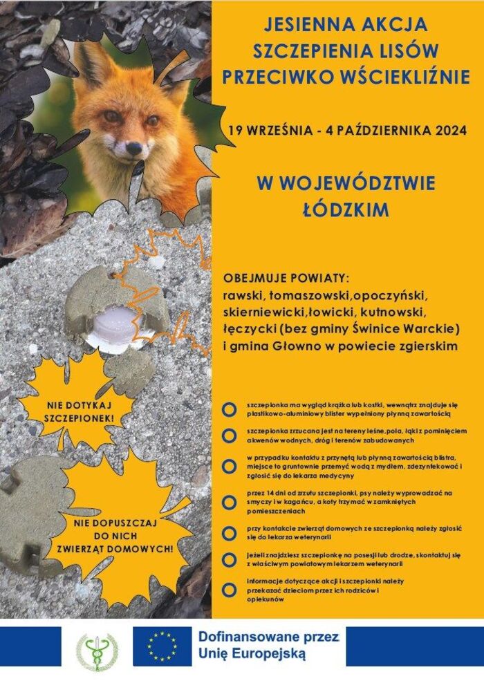 Jesienna akcja szczepienia lisów przeciwko wściekliźnie w województwie łódzkim