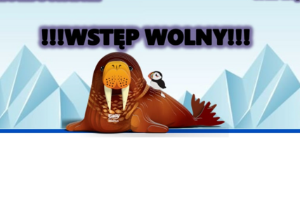 Wielkie Mikołajkowe Morsowanie Opoczno 2024