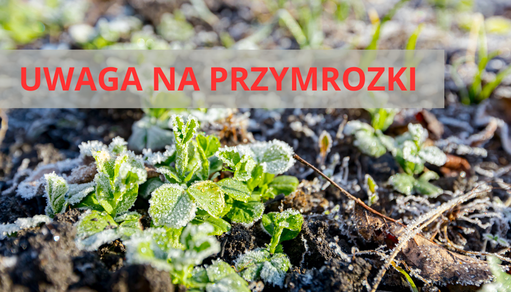 Ostrzeżenie meteorologiczne