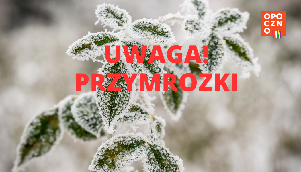 Uwaga przymrozki