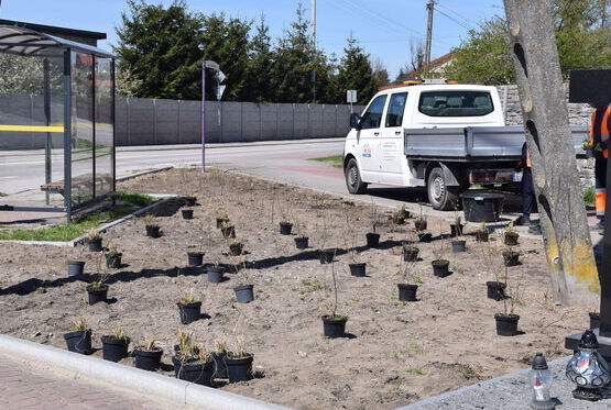 Pięknieje kolejne miejsce na mapie Opoczna