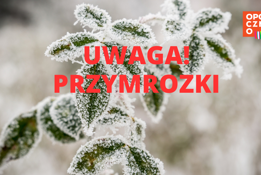 Ostrzeżenie meteorologiczne – przymrozki