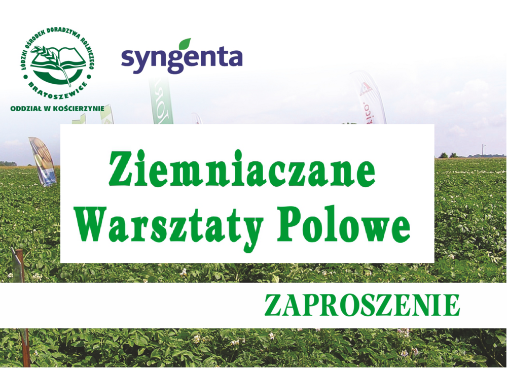 W tle pole ziemniaków. Napis: Ziemniaczane Warsztaty Polowe. Zaproszenie