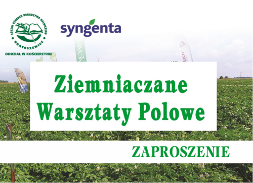 Ziemniaczane Warsztaty Polowe - 30 czerwca 2024 r.