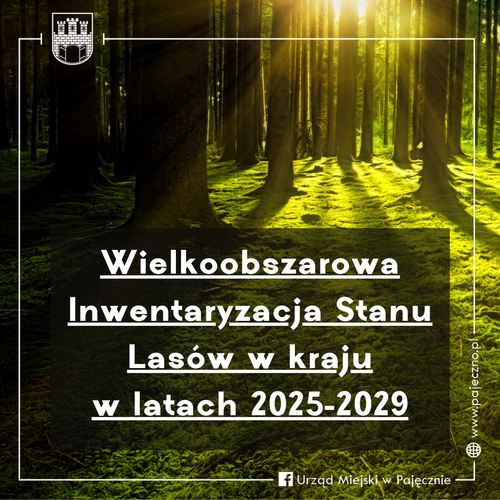 Wielkoobszarowa Inwentaryzacja Stanu Lasów w kraju w latach 2025-2029