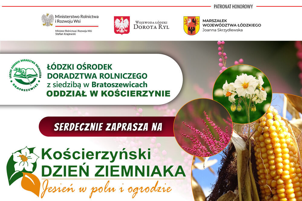 Kościerzyński Dzień Ziemniaka – Jesień w polu i ogrodzie