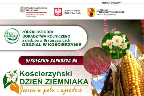 Kościerzyński Dzień Ziemniaka – Jesień w polu i ogrodzie