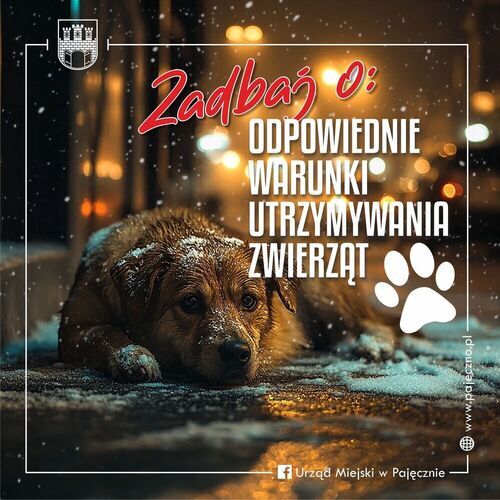 Komunikat: Ochrona zwierząt !