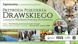 Przyroda Pojezierza Drawskiego