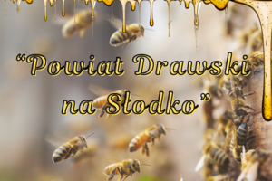Pszczoły oraz ich otoczenie-Konkurs fotograficzny