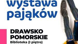 Wystawa pająków