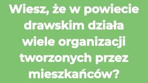 Broszura o NGO