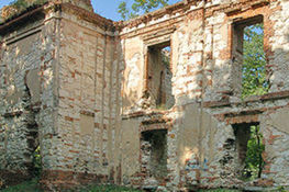 Zdjęcie przedstawia Ruiny Zamku w Bychawie