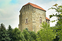 Zdjęcie przedstawia Wieże Ariańską Wojciechów