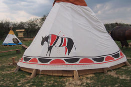 Tipi