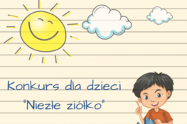 Grafika przedstawia chłopca, dwie chmurki, słońce oraz napis: Konkurs dla dzieci "Niezłe Ziółko"