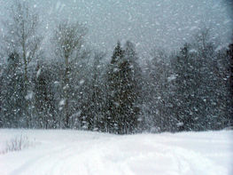 zdjęcie przedstawia burzę śnieżną