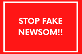 biały napis na czerwonym tle: stop fake newsom