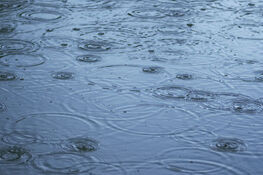 Powierzchnia wody z kroplami deszczu tworzącymi wzory i kręgi na tle rozmytej tafli.