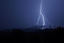 Błyskawica rozjaśnia niebo nocne, z elektrycznymi liniami i sylwetkami drzew w tle.