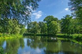 Jezioro otoczone bujną zielenią drzew i krzewów w słoneczny dzień. Błękitne niebo odbija się w spokojnej tafli wody, a gałęzie drzew tworzą naturalne ramy dla malowniczego krajobrazu.