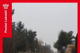 Droga powiatowa z nowo wybudowanym chodnikiem w miejscowości Wola Niemiecka-Dys. Chodnik ciągnie się wzdłuż drogi, otoczony jest drzewami i ogrodzeniami domów. Pochmurne niebo w tle.