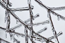 Gałęzie pokryte szronem i lodem, tworzące przezroczystą, błyszczącą sieć z zamrożonymi kroplami.