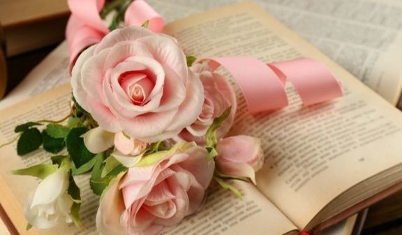 Różowe róże na książce