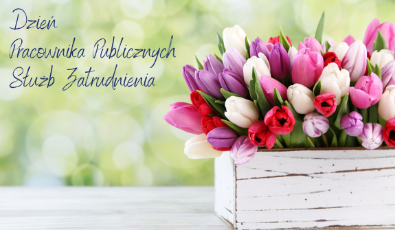 Bukiet tulipanów w odcieniach różu, fioletu, bieli i czerwieni w białej, drewnianej skrzynce. W tle zamazane zielone liście. Obok napis "Dzień Pracownika Publicznych Służb Zatrudnienia".