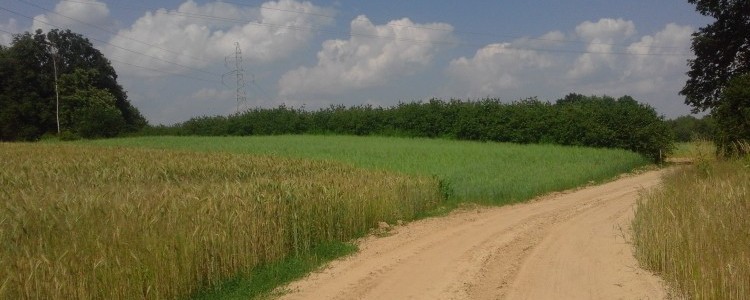 Dożynki Powiatowe Kazimierz Dolny 2016 r.