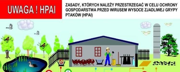 Apel do hodowców drobiu w związku z wystąpieniem grypy ptaków (HPAI), podtyp H5N8