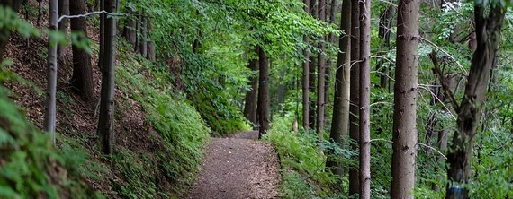 Szkolenie na temat przygotowania wniosku o przyznanie pomocy