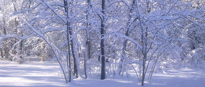 PROGNOZA NIEBEZPIECZNYCH ZJAWISK METEOROLOGICZNYCH z dn. 1.02.2017
