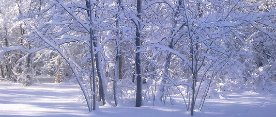 PROGNOZA NIEBEZPIECZNYCH ZJAWISK METEOROLOGICZNYCH z dn. 1.02.2017