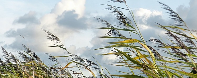 PROGNOZA NIEBEZPIECZNYCH ZJAWISK METEOROLOGICZNYCH