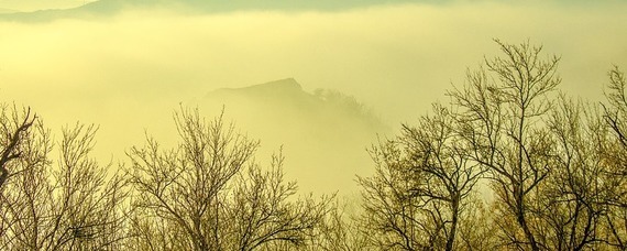 OSTRZEŻENIA METEOROLOGICZNE ZBIORCZO NR 115