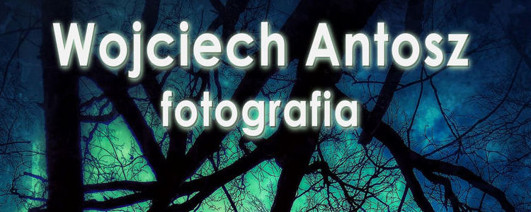 Wojciech Antosz Fotografia