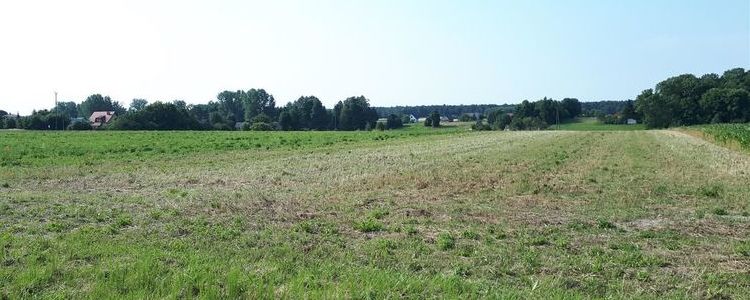 Nieruchomość gruntowa w Żyrzynie podlegająca sprzedaży w drodze przetargu.