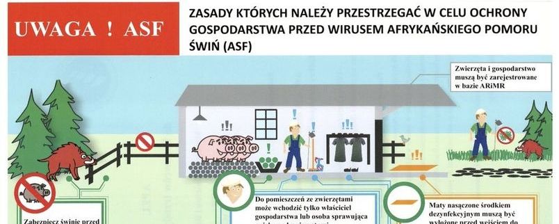 Uwag! ASF Zasady bioasekuracji - grafika