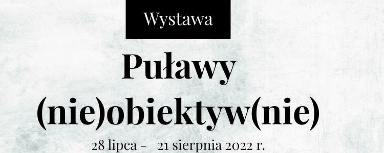 Część plakatu szare tło napis Wystawa Puławy (nie)obiektyw(nie)