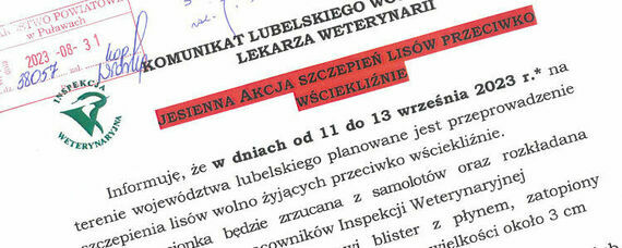 Jesienna akcja szczepień lisów przeciwko wściekliźnie