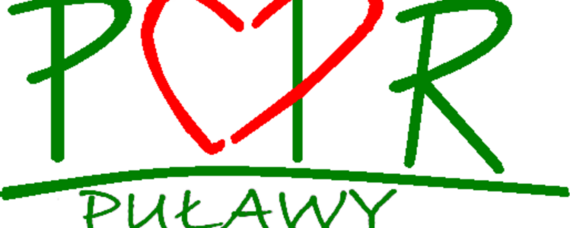 Realizacja projektu „Wsparcie specjalistów w skutecznym przeciwdziałaniu przemocy” w Powiecie Puławskim