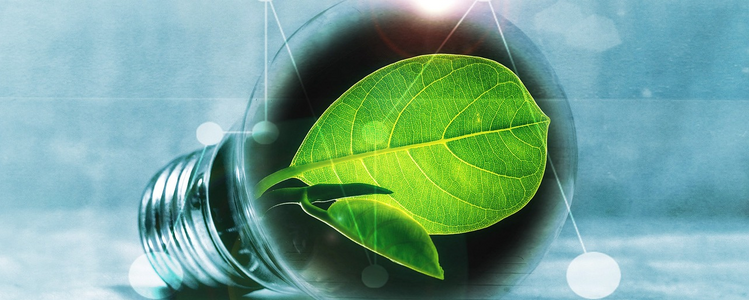 Żarówka leżąca na boku, w środku której znajduje się zielony liść. Tło jest niebieskawe i rozmyte, z delikatnymi białymi punktami i liniami sugerującymi połączenia, co symbolizuje ekologiczną energię.