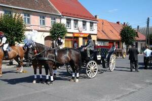 Dożynki Gminne Głogowa 2008