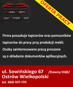 Oferta Pracy