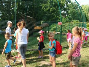 Półkolonie w Korytach, Ligocie  i Jankowie Zaleśnym