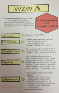 Co trzeba wiedzieć o wirusowym zapaleniu wątroby typu A