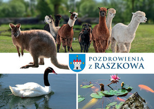 Raszkowskie pocztówki